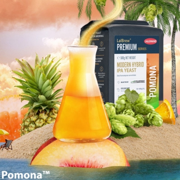 levure-lallemand-pomona