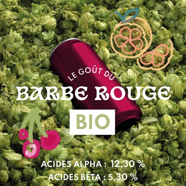 BARBE ROUGE bio 2023