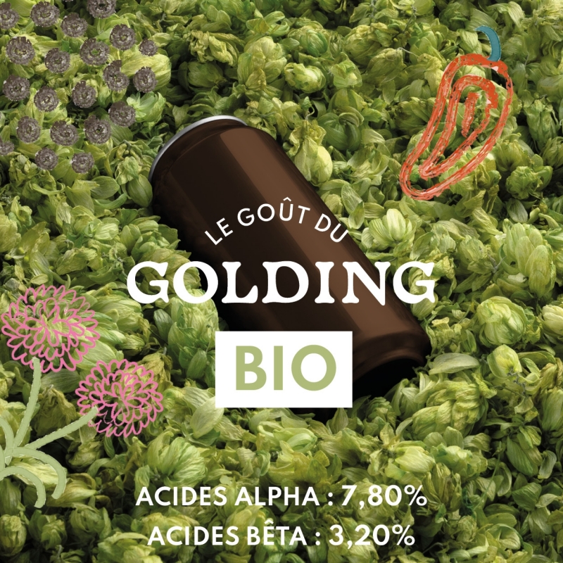 Etienne_Golding_BIO