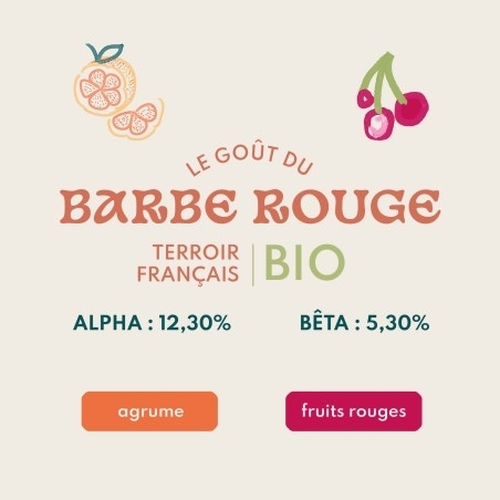 barbe-rouge