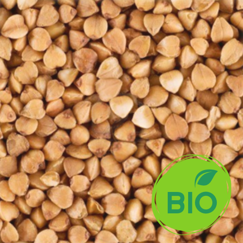 malt sarrasin bio