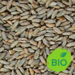 malt seigle bio