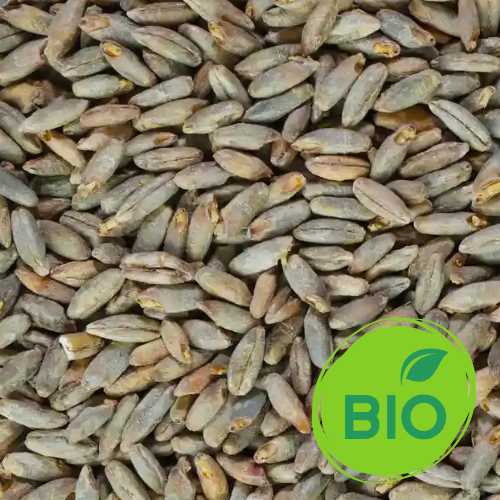 malt seigle bio