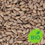 malt épautre bio