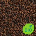 malt chocolat bio