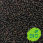 malt black bio