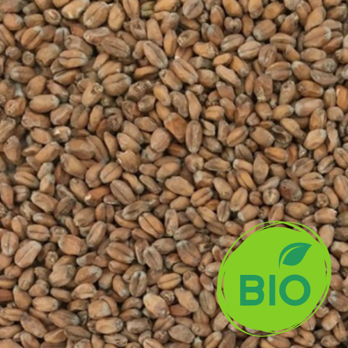 malt blé bio