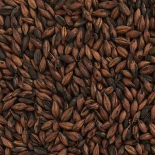 malt chocolat