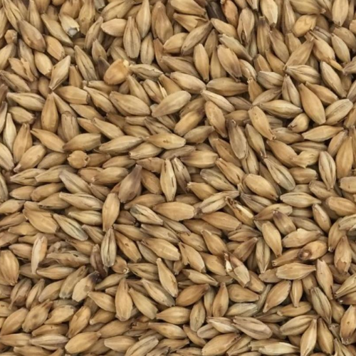 malt clair