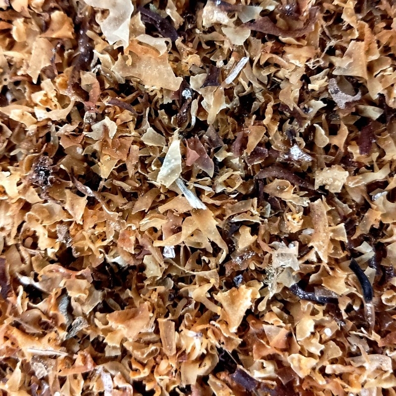 irish moss